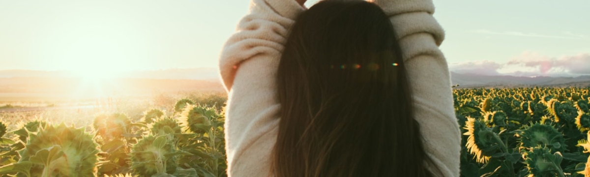 banner image